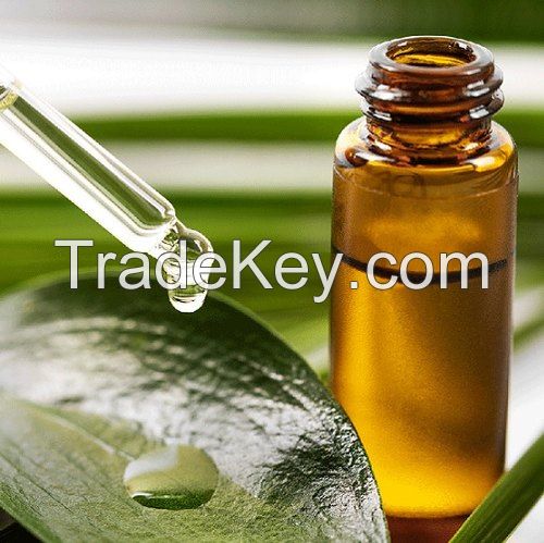 Pure Natural Australian Tea Tree Oil in Cosmetics/Pure Tea tree Oil Bulk Wholesale