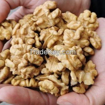 Raw and Dried Walnuts Nuts