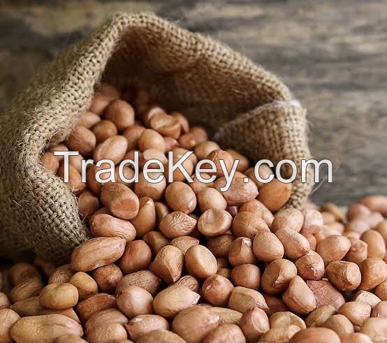 FRESH GROUNDNUTS FROM NIGERIA