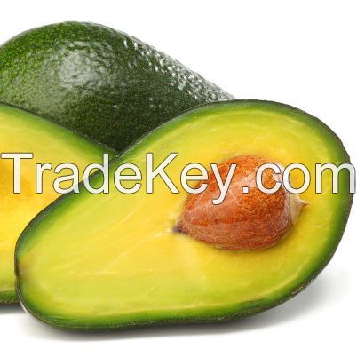 Long Avocado Fruit Fresh Fruits