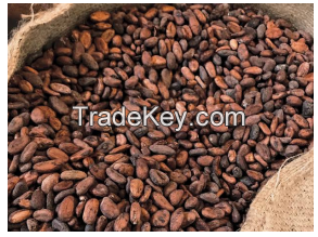 Cocoa Beans Good Quality for Sale