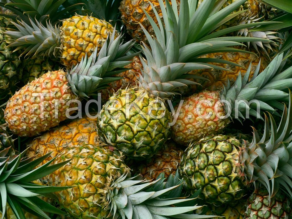 Pineapples