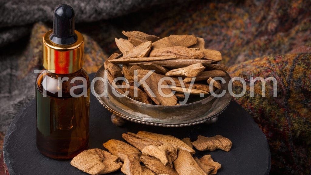 Oil  Agarwood