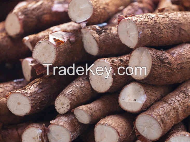 Frozen Cassava, 