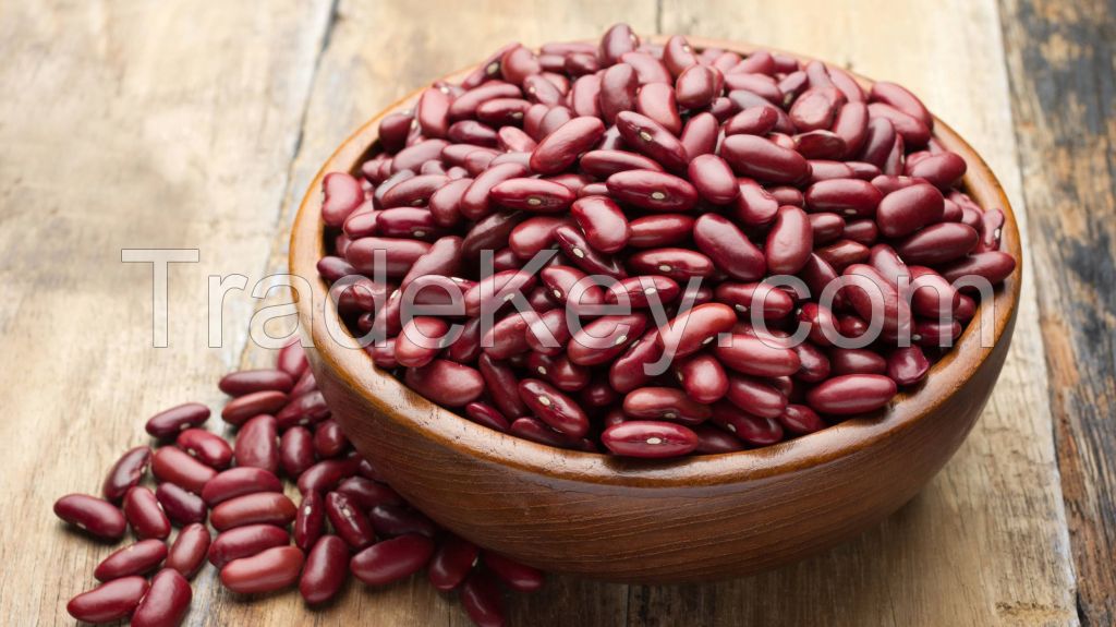 Organic Dark Red Kidney Beans