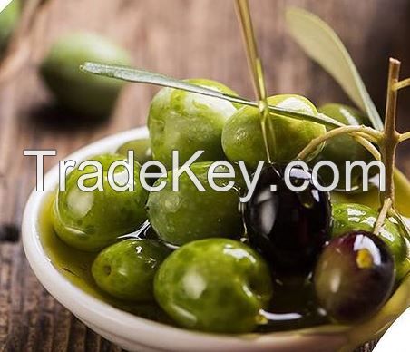 Olives and Olive Oil