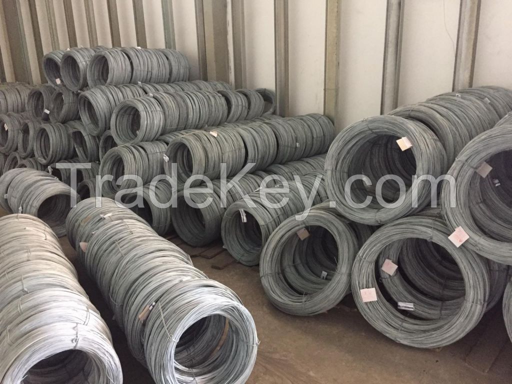 Steel wire rod