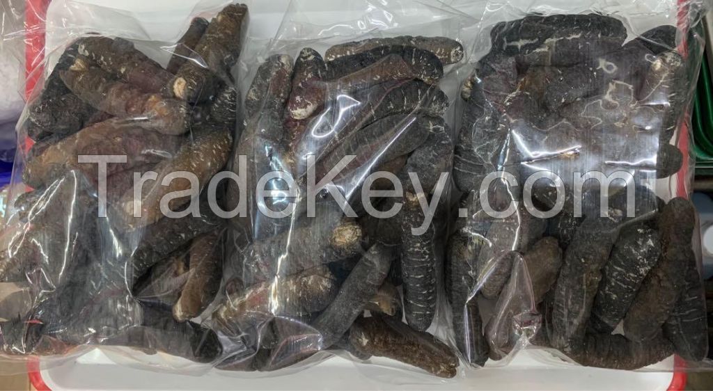 Dried sea cucumber