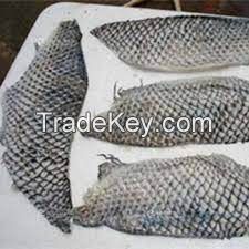 Frozen Dried Sea Fish Skin Crispy Tilapia Fish Skin