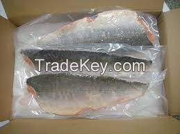 salmon Frozen chum salmon fillet