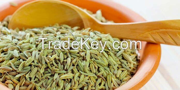 Fennel Seeds