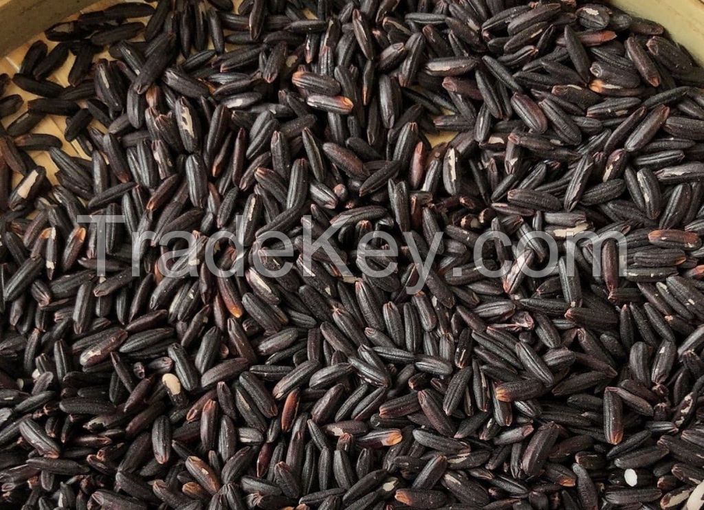 BLACK HEALTHY RICE/ WA: +84352310575