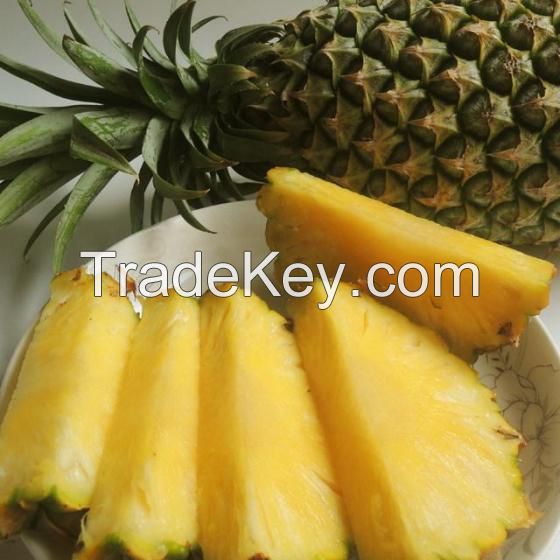 Fresh Pineapples Quality Fresh Wholesale Fresh Pineapple, BEST PRICE FRESH PINEAPPLE