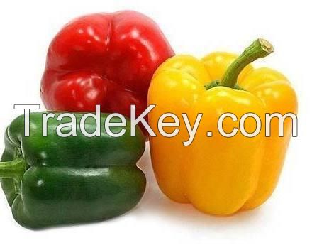 Fresh Capsicum, Green Capsicum , Red Capsicum , Yellow Capsicum for Sale