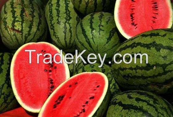 Fresh Sweet Watermelons From South Africa for sale