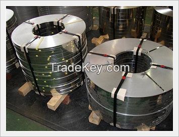 Stainless Steel Strip / Sheet / Coil