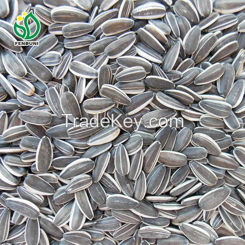 Supply sunflower seeds Raw, Supply sunflower seeds Raw