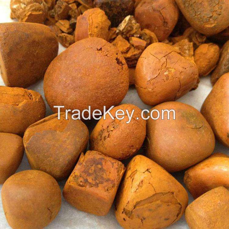 Natural Bezoar (Gallstone) , Cow Bezoar Gallstones