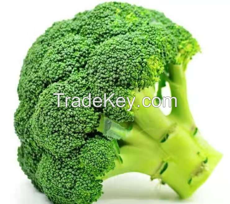 Grade A Export Wholesale High Quality Organic IQF Frozen Fresh Broccoli