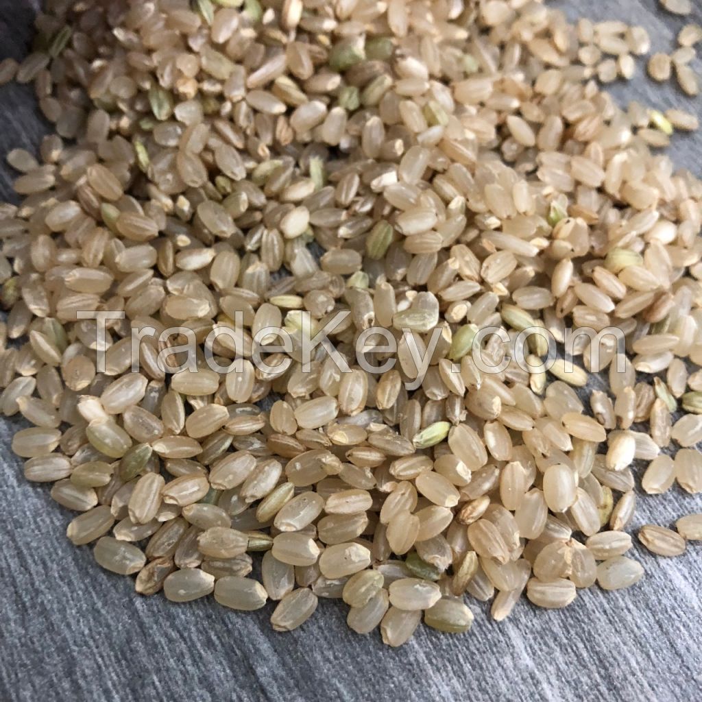 New Crop BROWN RICE with the most competive price from VILACONIC company