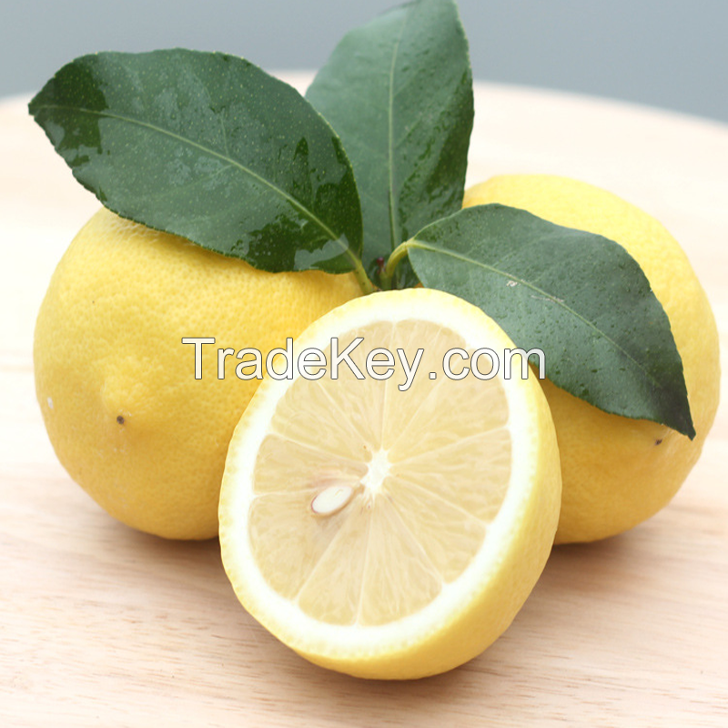 Fresh Yellow Lemon