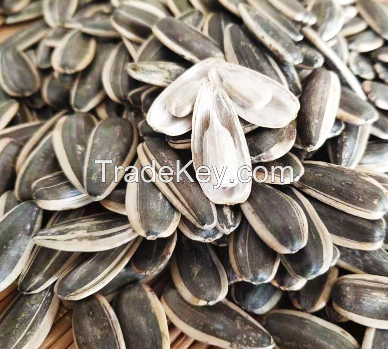 Chinese Black White Raw Quick Delivery of Sunflower Seeds Big