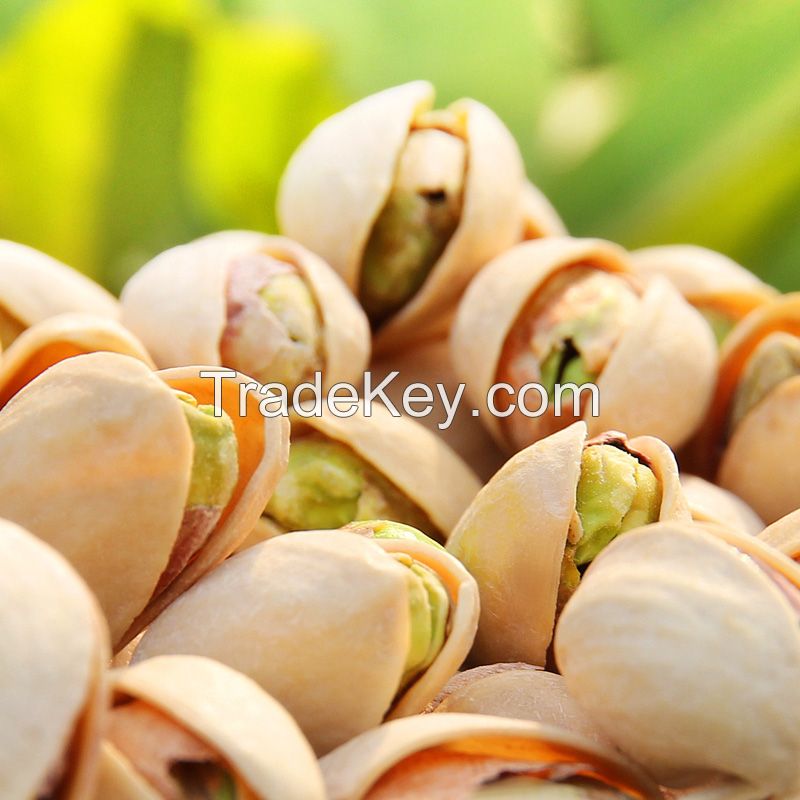 New Natural Pistachio Pistachio Nuts