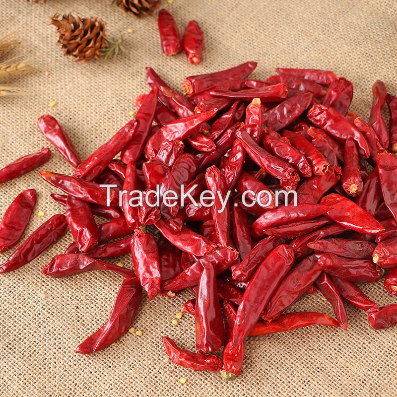 Dried Pepper / Red Chili Pepper powder