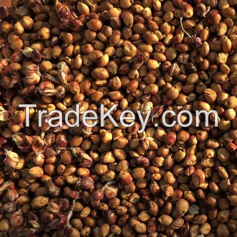 Best Seller Red Sorghum Grains/Red Sorghum Beans