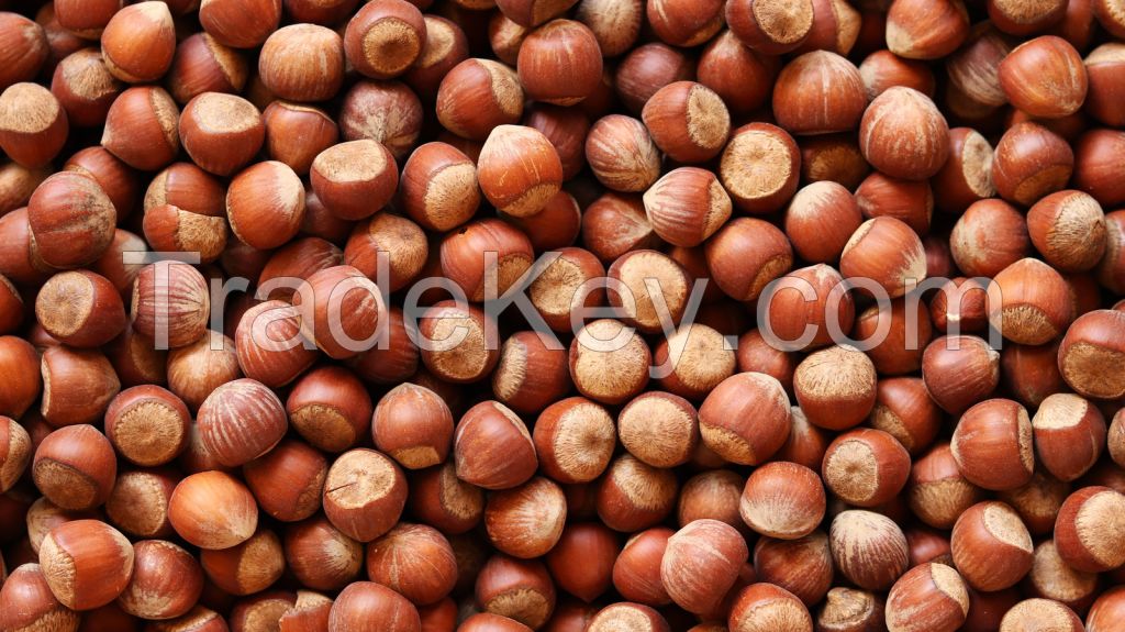 Quality Wholesale Hazelnut For Sale