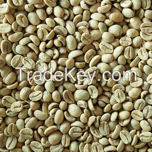 Raw Organic/Inorganic Premium Roasted Coffee Beans Ripe Red Maturity And Weight 0.5kg Coffee Bean