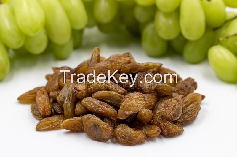 Natural dry and fresh fruit grape raisins for sale