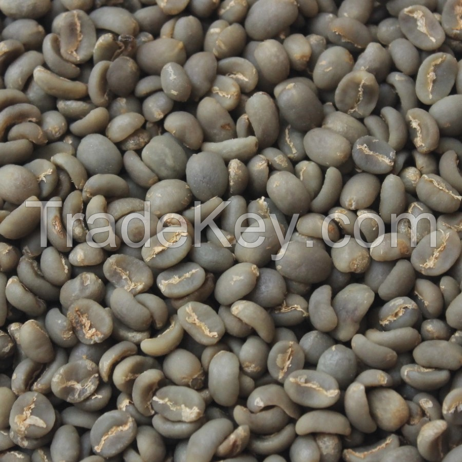 Big Discount for Arabica Lintong Green Bean