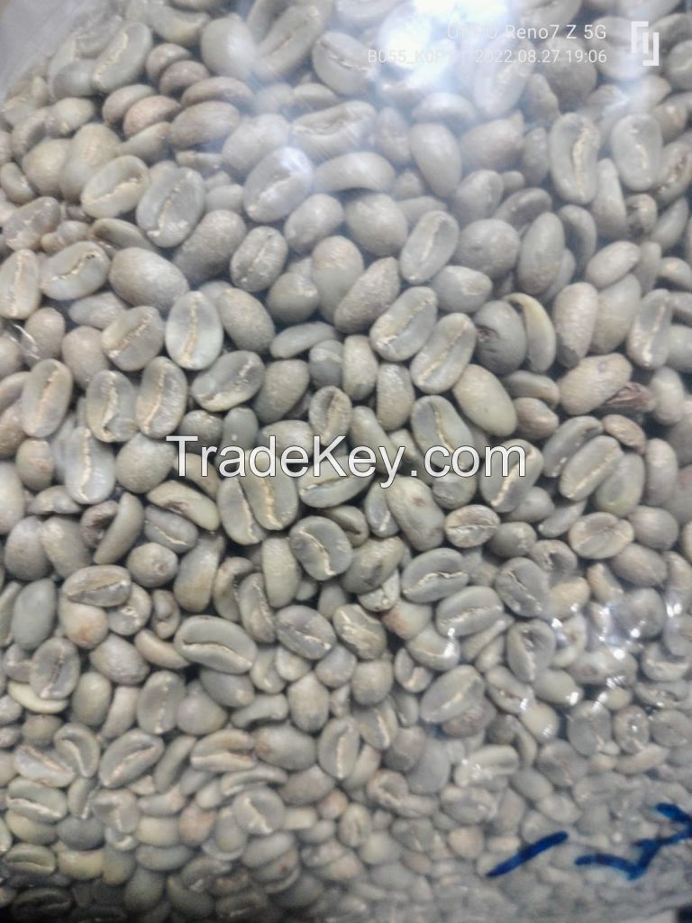 ARABICA IJEN SPECIALTY (FULLWASHED)