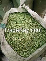 Green Cardamom for sale