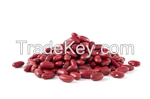 wholesale kidney beans for sale