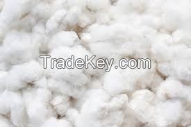 RAW COTTON