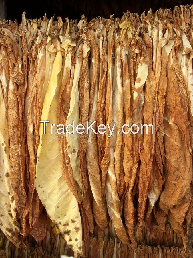 Buy Virginia Tobacco Leaf Trip, Cut for shisha Use, Turner 50g tobacco