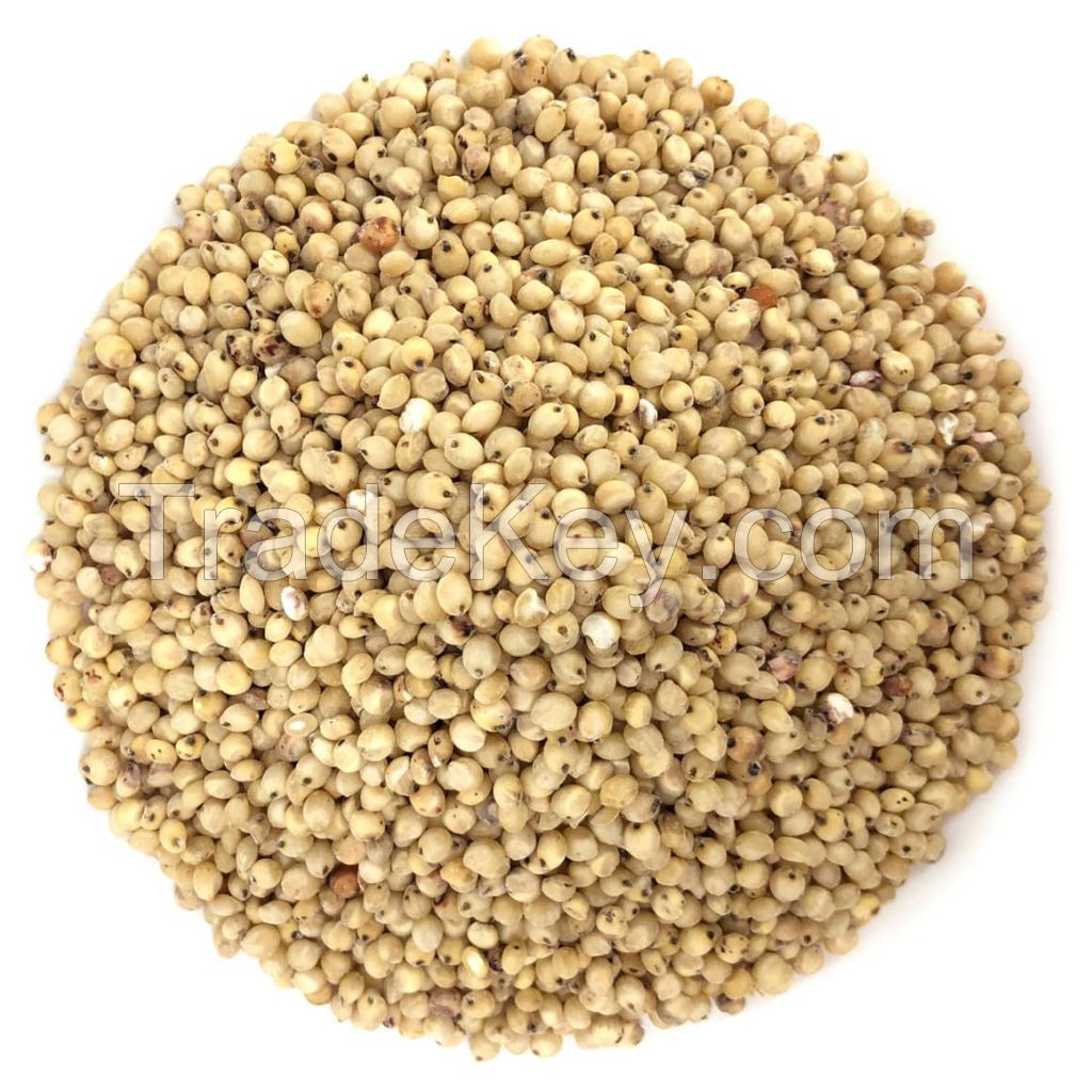 OATS, QUINOA, RYE, SORGHUM