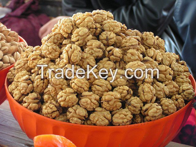 100% NATURAL DRIED WALNUT / WALNUT INSHELL