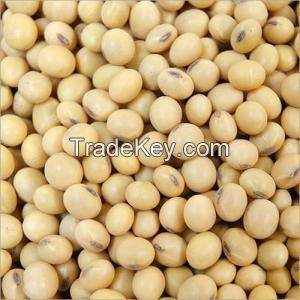 Non Gmo Soybeans  Raw Soybean Grain  Soy bean Seeds