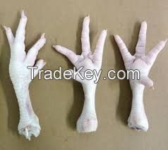 Premium Frozen Chicken feet