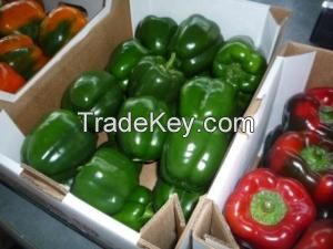 Fresh Capsicum Red, Yellow