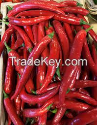 DRIED RED CHILI - PRODUCT DIRECT FROM FARM