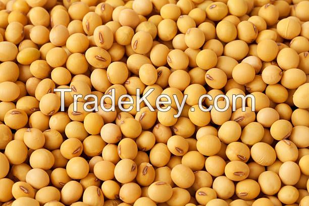 Soybeans