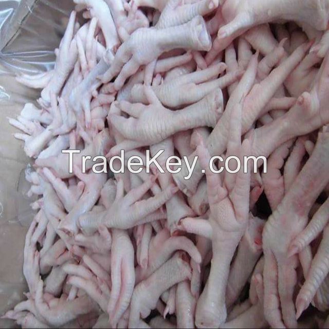 HALAL FROZEN WHOLE CHICKEN / FROZEN CHICKEN FEET / FROZEN CHICKEN PAWS SUPPLIER