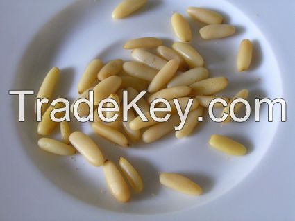 pine nut