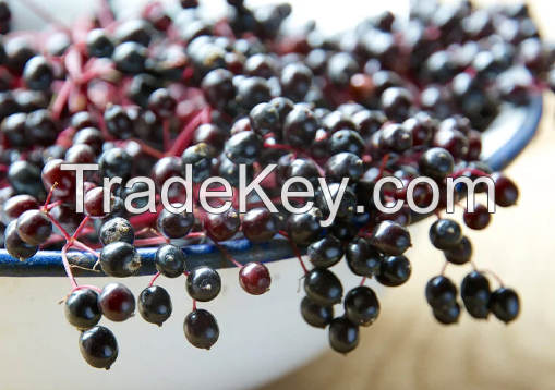 Elderberry