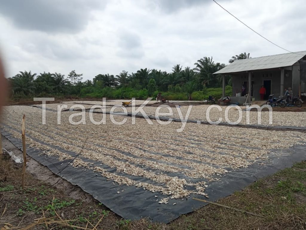 Dried Cassava Chips