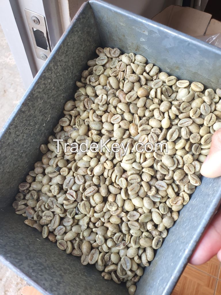 VIETNAM ROBUSTA COFFEE BEANS S18 WET POLISHED NEW CROP